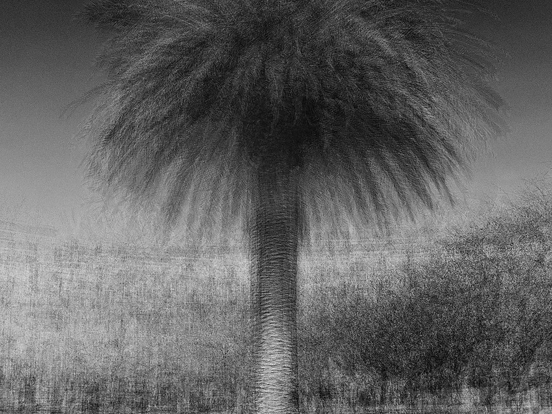 Lisbon #1 - Jacob Gils - Award Winning Danish Photographer - Hilton Contemporary