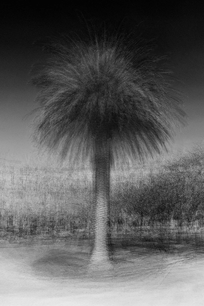 Lisbon #1 - Jacob Gils - Award Winning Danish Photographer - Hilton Contemporary