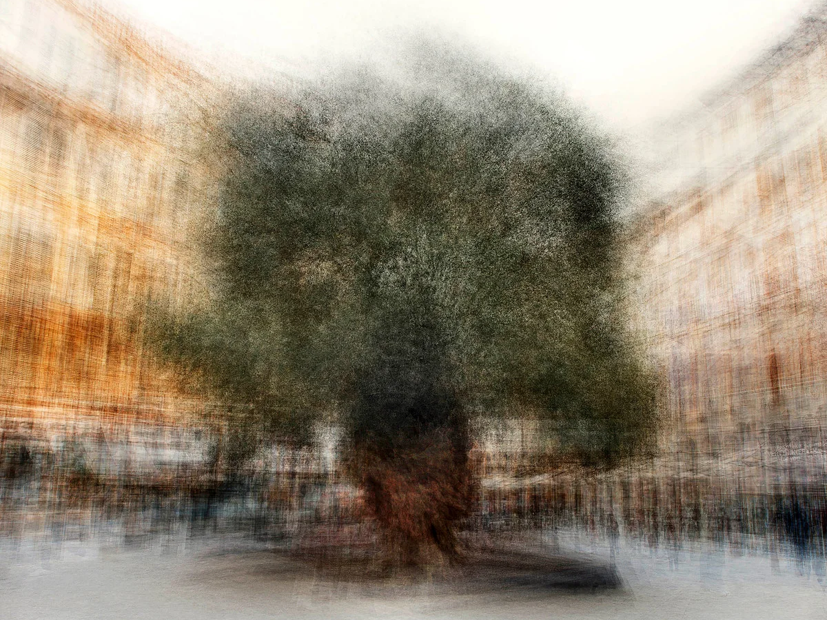 Palma #2 - Jacob Gils - Award Winning Danish Photographer - Hilton Contemporary