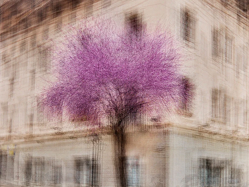 Palma #5 - Jacob Gils - Award Winning Danish Photographer - Hilton Contemporary