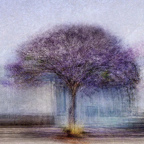 Palma #8- Jacob Gils - Award Winning Danish Photographer - Hilton Contemporary