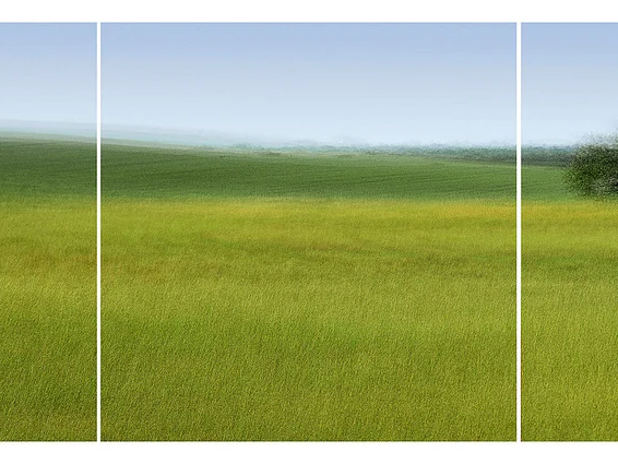 Pibe Moelle #12 Triptych - Jacob Gils - Award Winning Danish Photographer - Hilton Contemporary