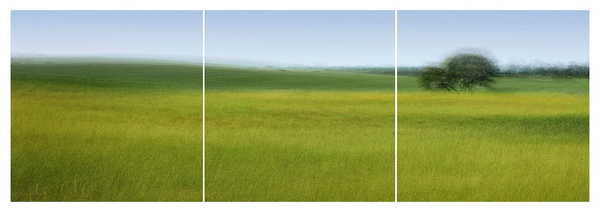 Pibe Moelle #12 Triptych - Jacob Gils - Award Winning Danish Photographer - Hilton Contemporary
