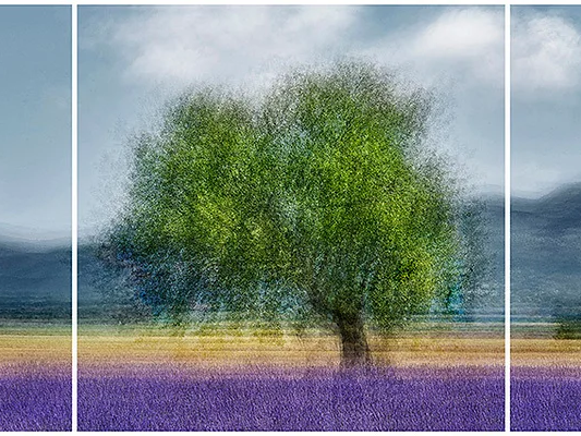 Provence #1 Triptych - Jacob Gils - Award Winning Danish Photographer - Hilton Contemporary