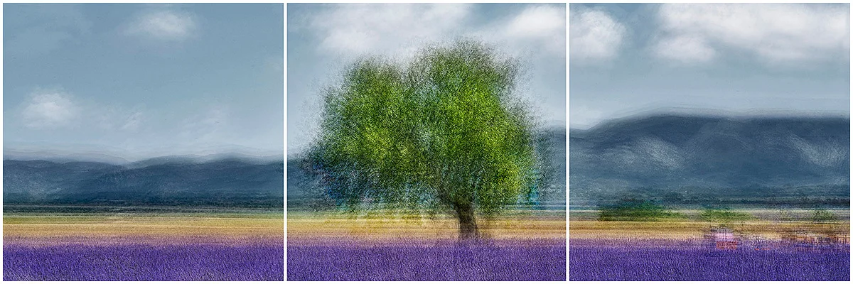 Provence #1 Triptych - Jacob Gils - Award Winning Danish Photographer - Hilton Contemporary