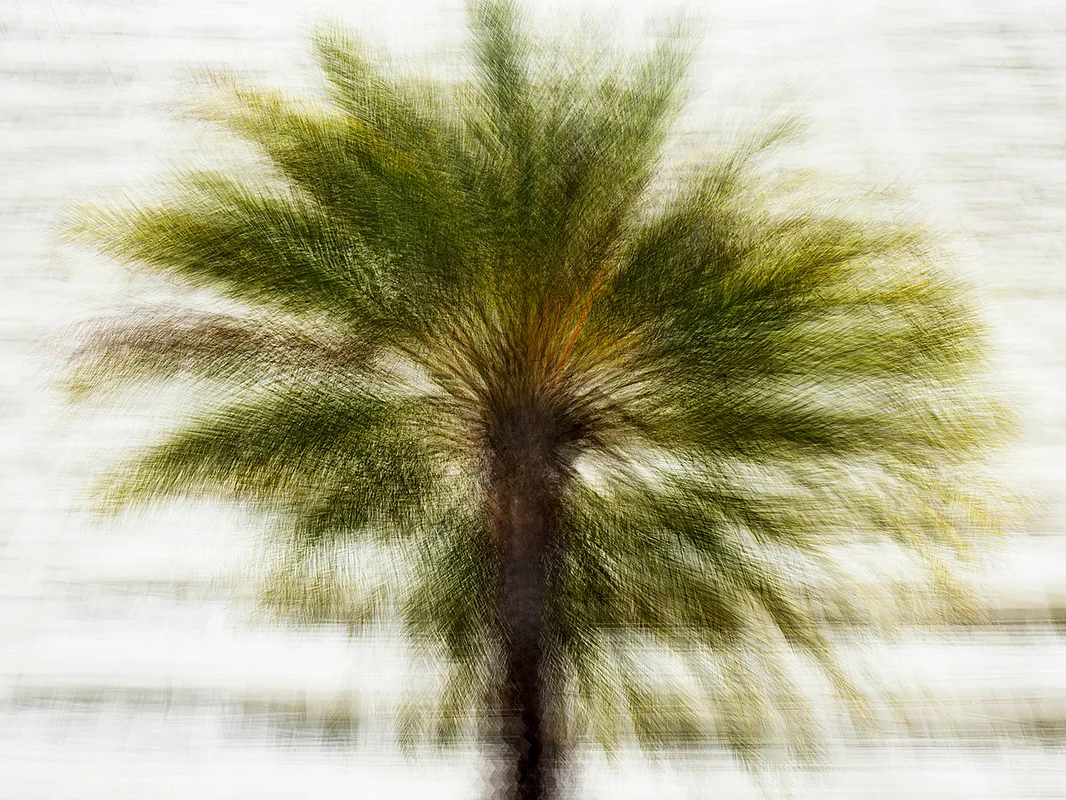 Santa Monica #2 - Jacob Gils - Award Winning Danish Photographer - Hilton Contemporary