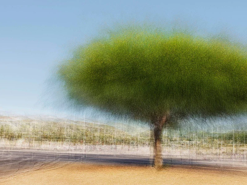 Santa Ponca #1 - Jacob Gils - Award Winning Danish Photographer - Hilton Contemporary