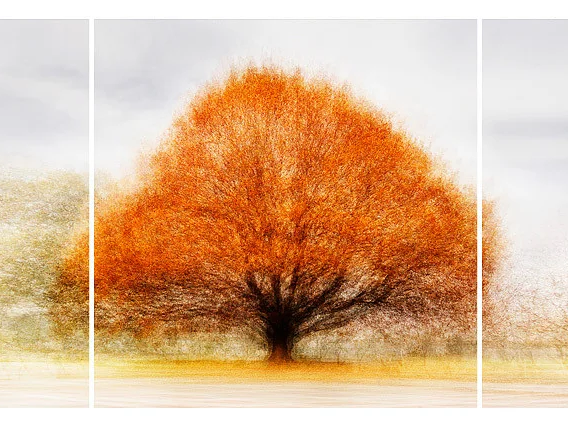 Sophienholm #1 Triptych - Jacob Gils - Award Winning Danish Photographer - Hilton Contemporary