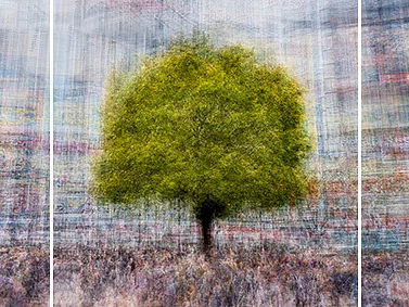 Tokyo #5 Triptych - Jacob Gils - Award Winning Danish Photographer - Hilton Contemporary