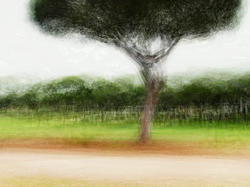 Vilamoura #1 - Jacob Gils - Award Winning Danish Photographer - Hilton Contemporary