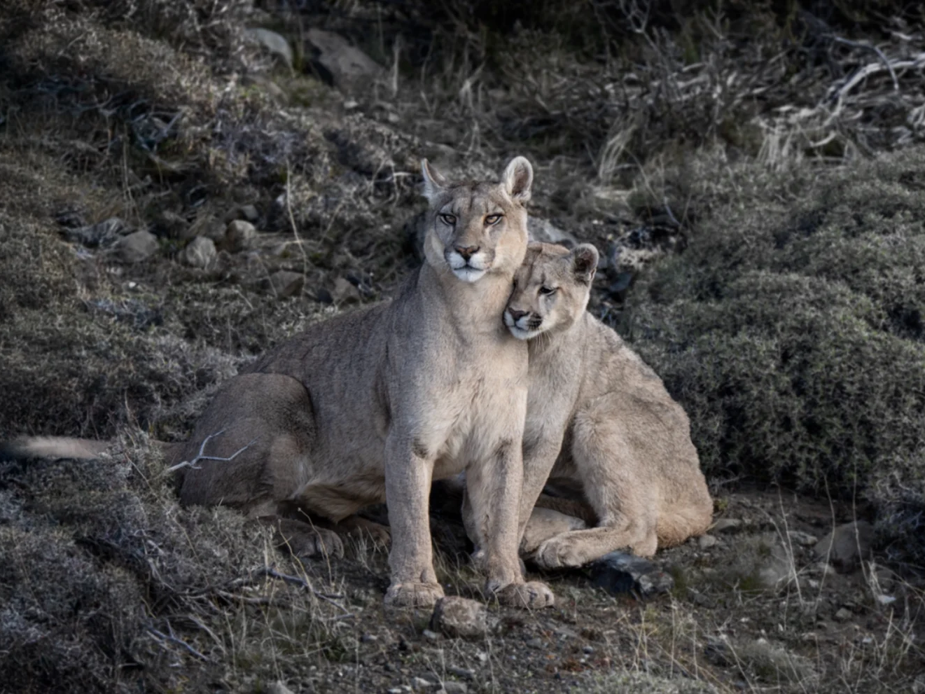 PS I Love You | Cristina Mittermeier