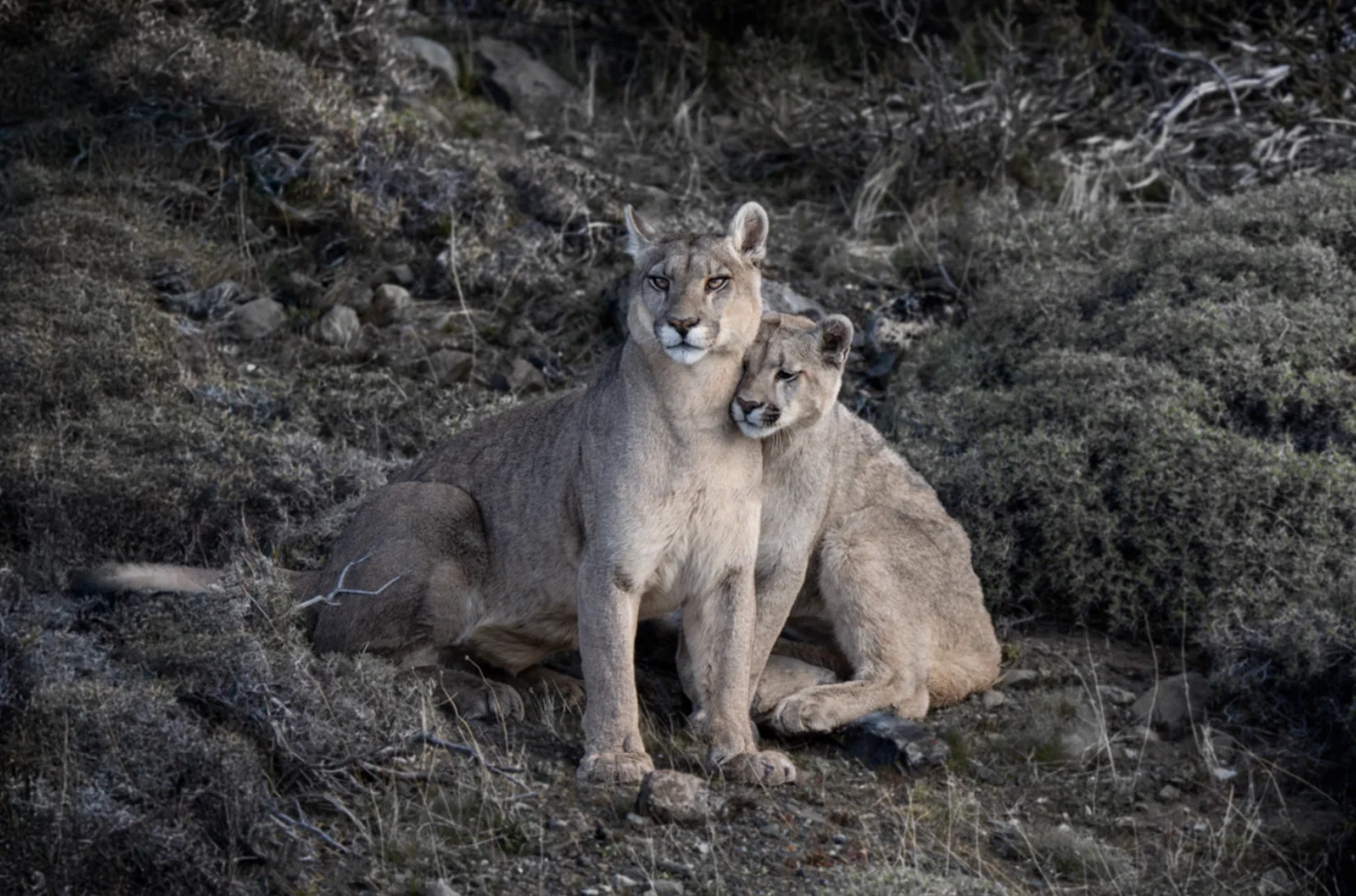 PS I Love You | Cristina Mittermeier