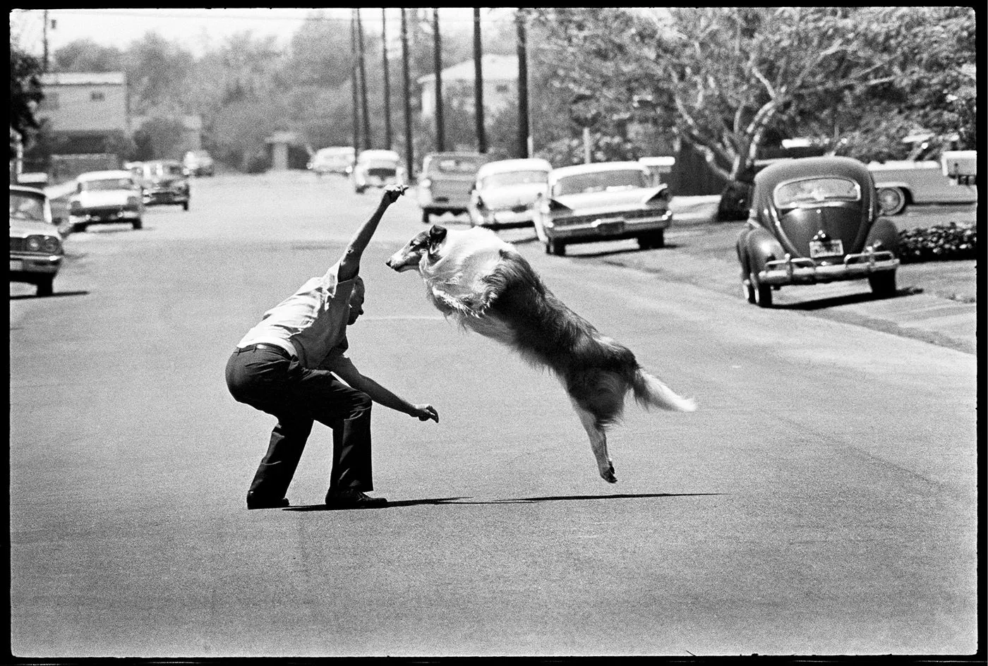 Frank Inn training Lassie in a suburban street during a Saturday Evening Post photo shoot, 1964