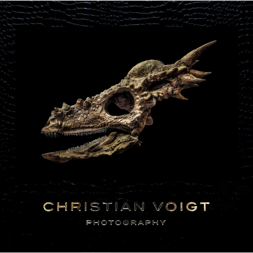 Photography_Christian_Voigt_Hilton_Contemporary