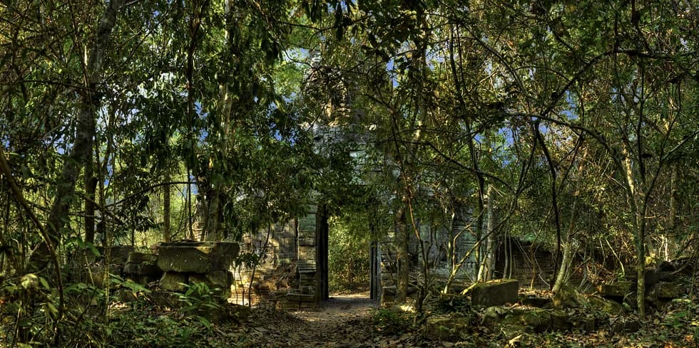 Ta Prohm II