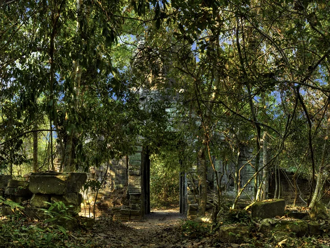 Ta Prohm II | Christian Voigt