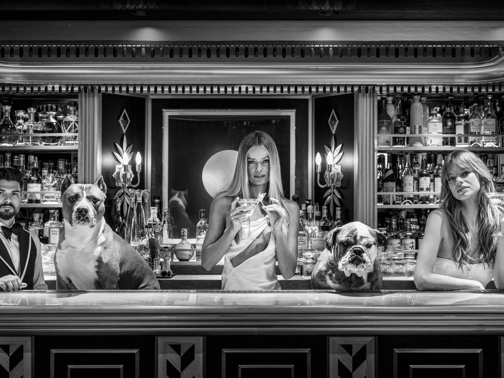 The Dogs of Palm Beach | David Yarrow