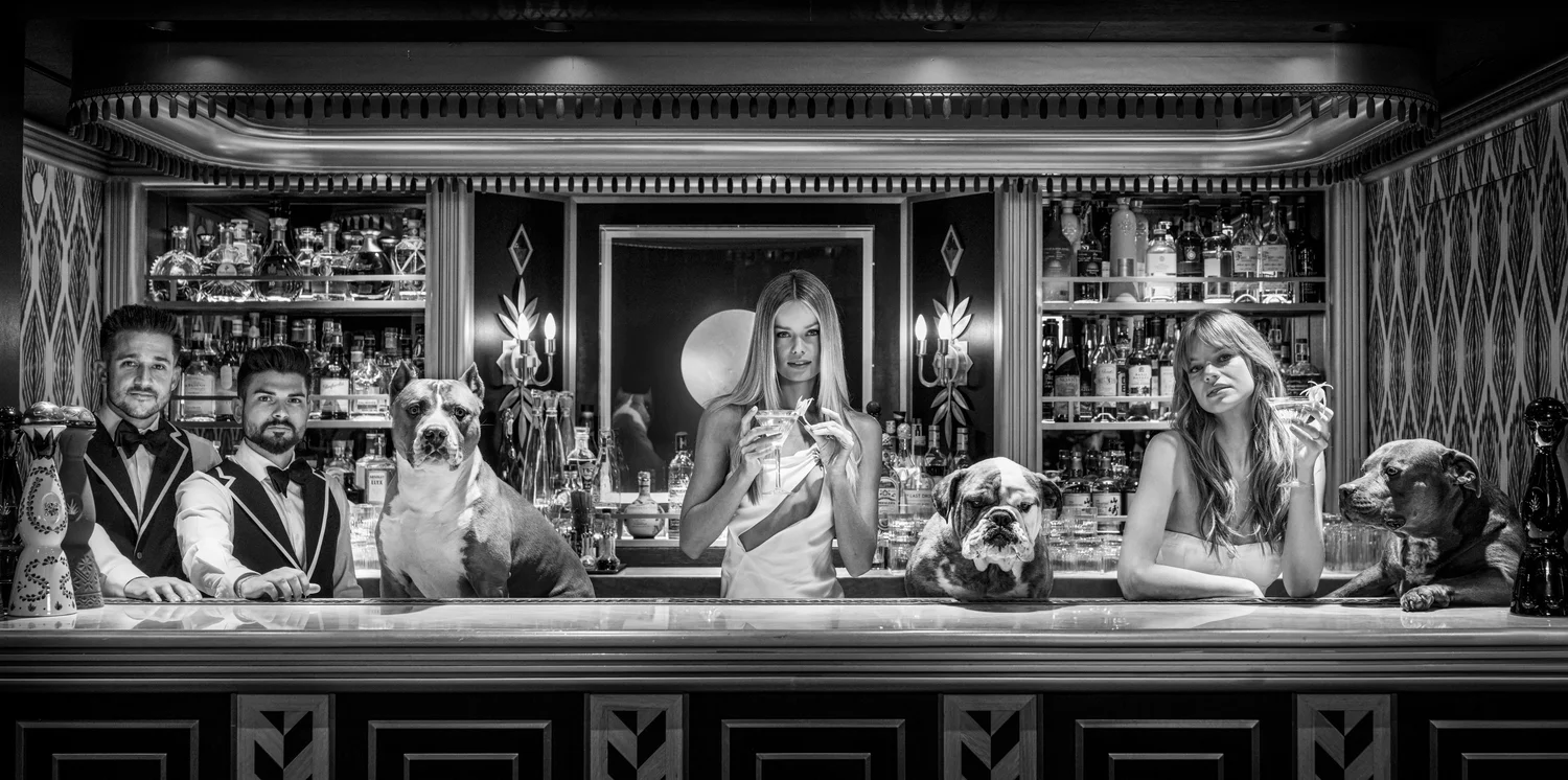 The Dogs of Palm Beach | David Yarrow
