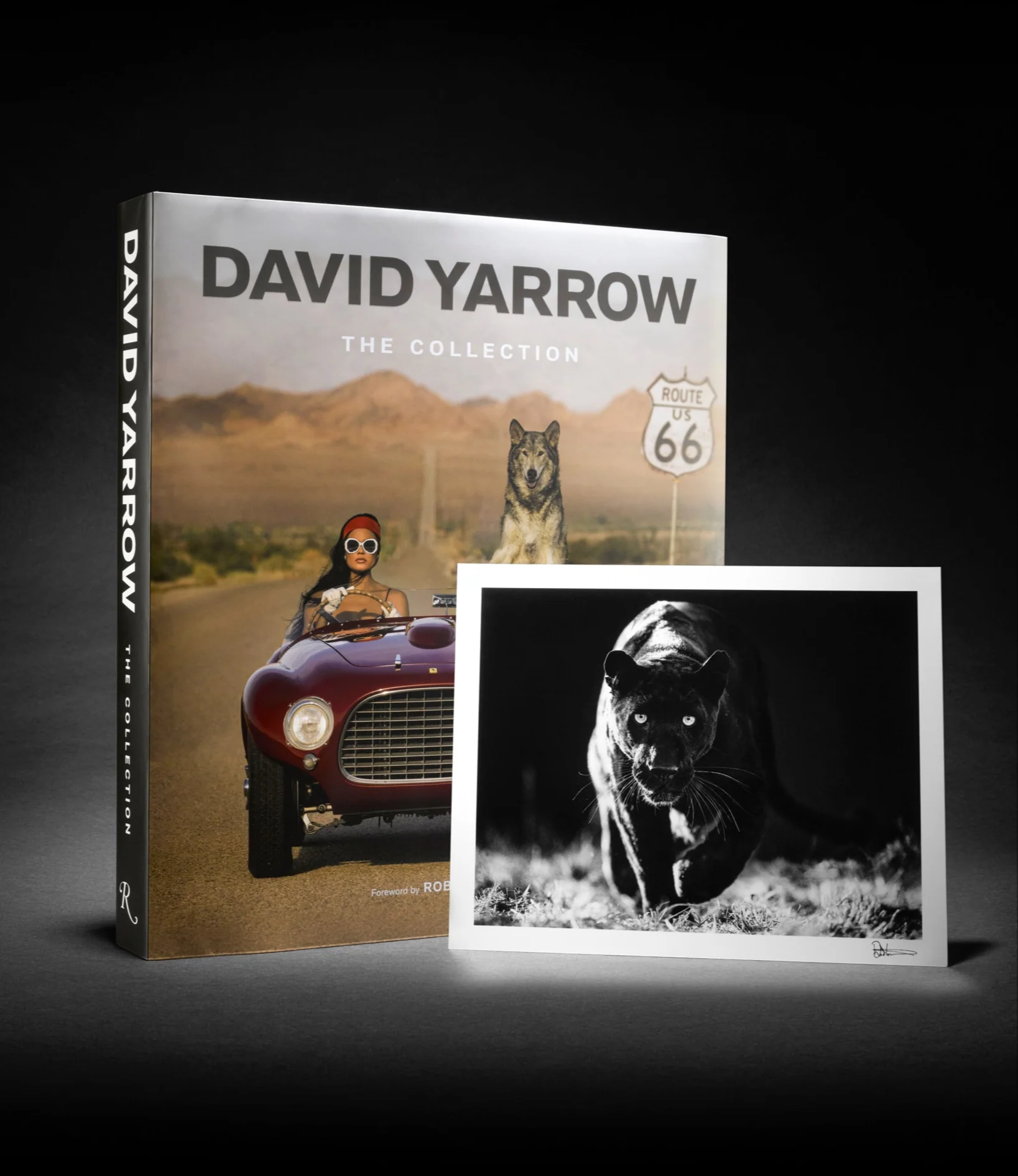"The Collection" by David Yarrow - Coffee Table Book - Includes Signed Print - Available at Hilton Contemporary