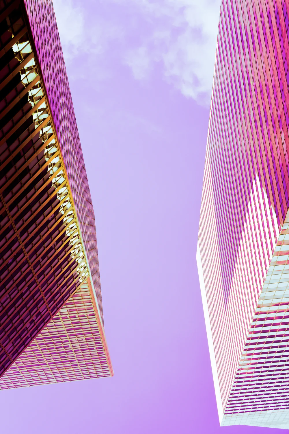 Steel Candy Purple | Bahar Kural