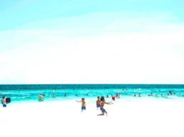 Transient Echoes Four