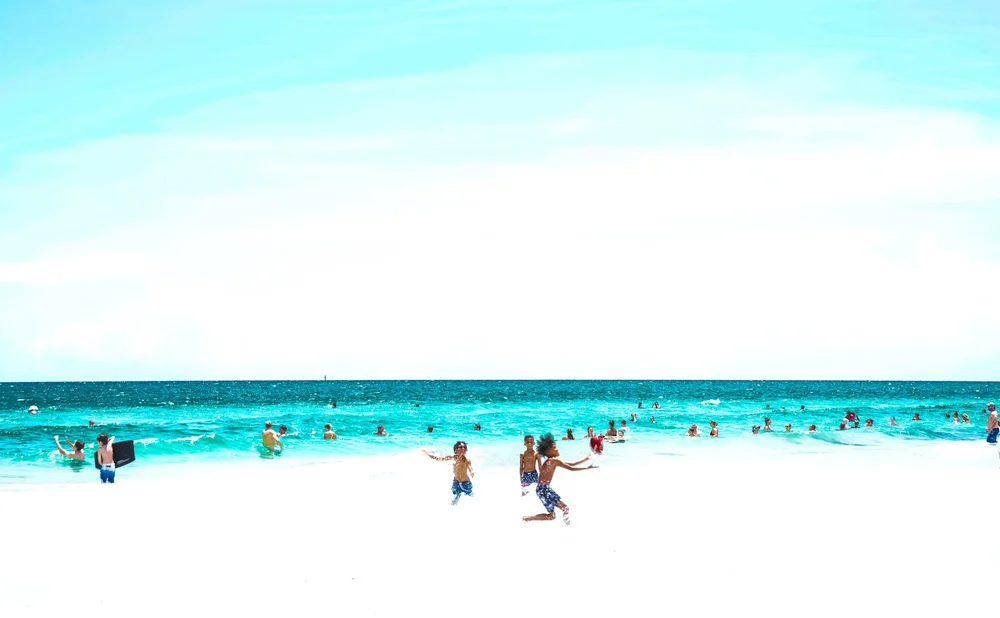 Transient Echoes Four