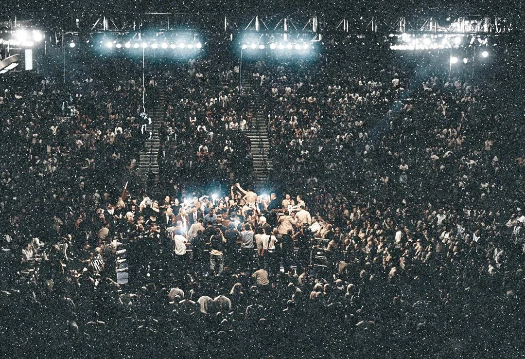 Champion (Diamond Dust) | David Drebin