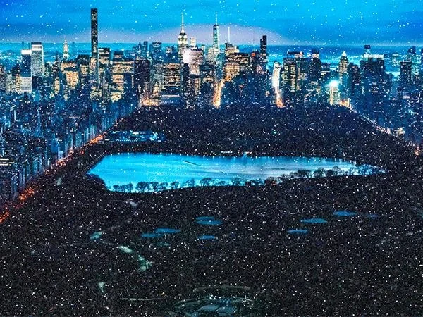 Diamond Dusk (Diamond Dust) | David Drebin