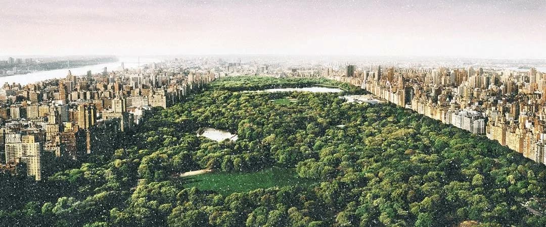 Dreams of Central Park (Diamond Dust)