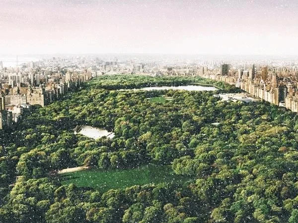 Dreams of Central Park (Diamond Dust) | David Drebin