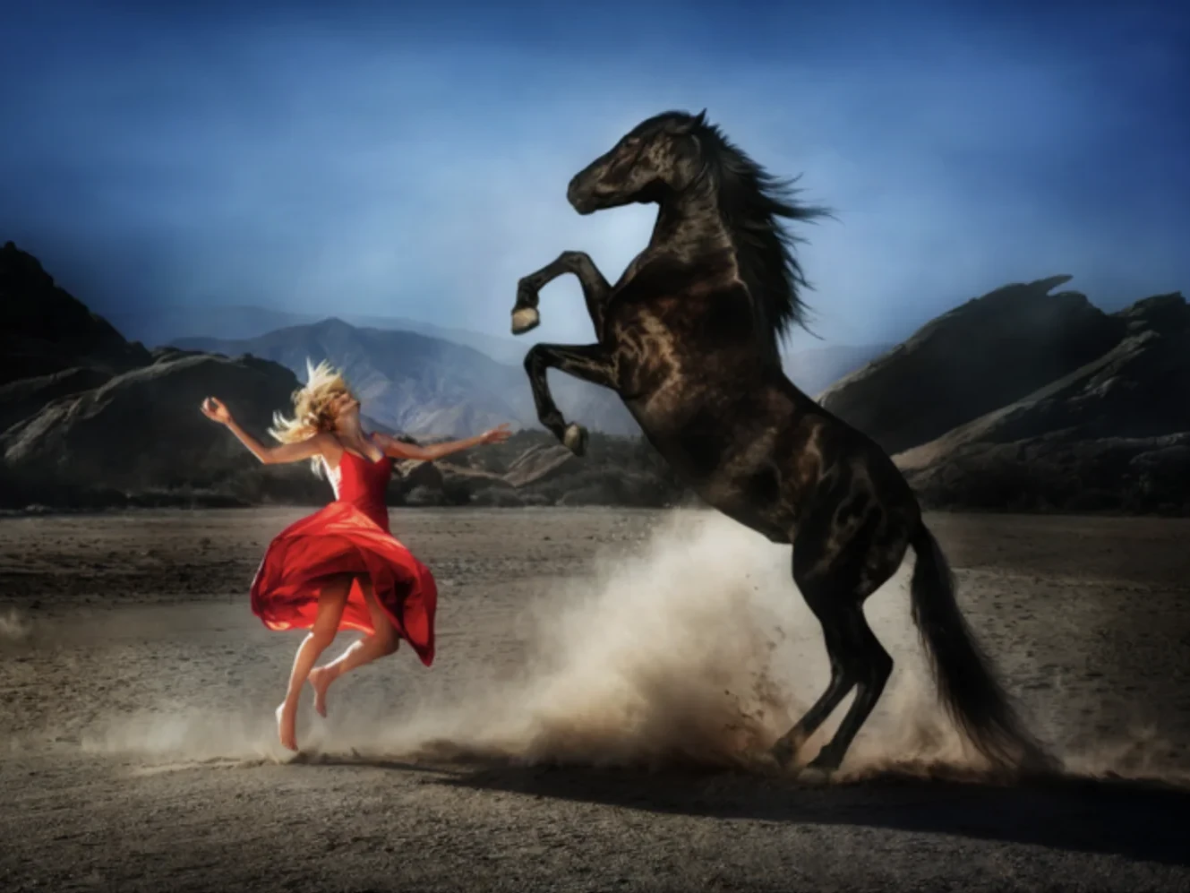 Wild at Heart | David Drebin