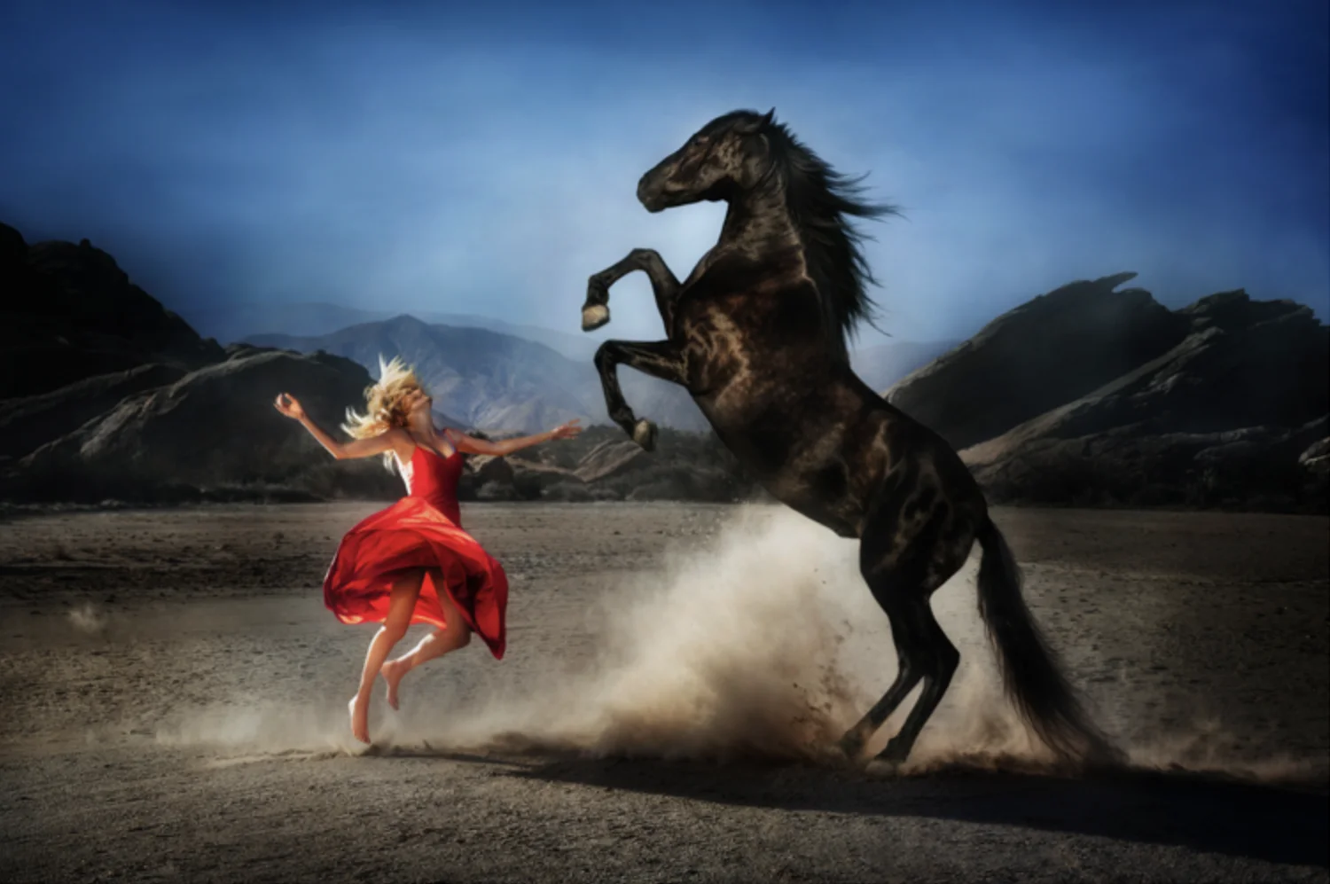 Wild at Heart | David Drebin