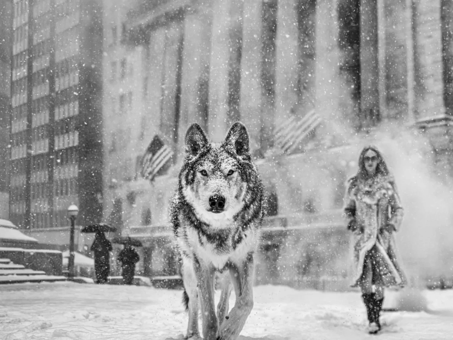 Wall Street Stories (B&W) | David Yarrow