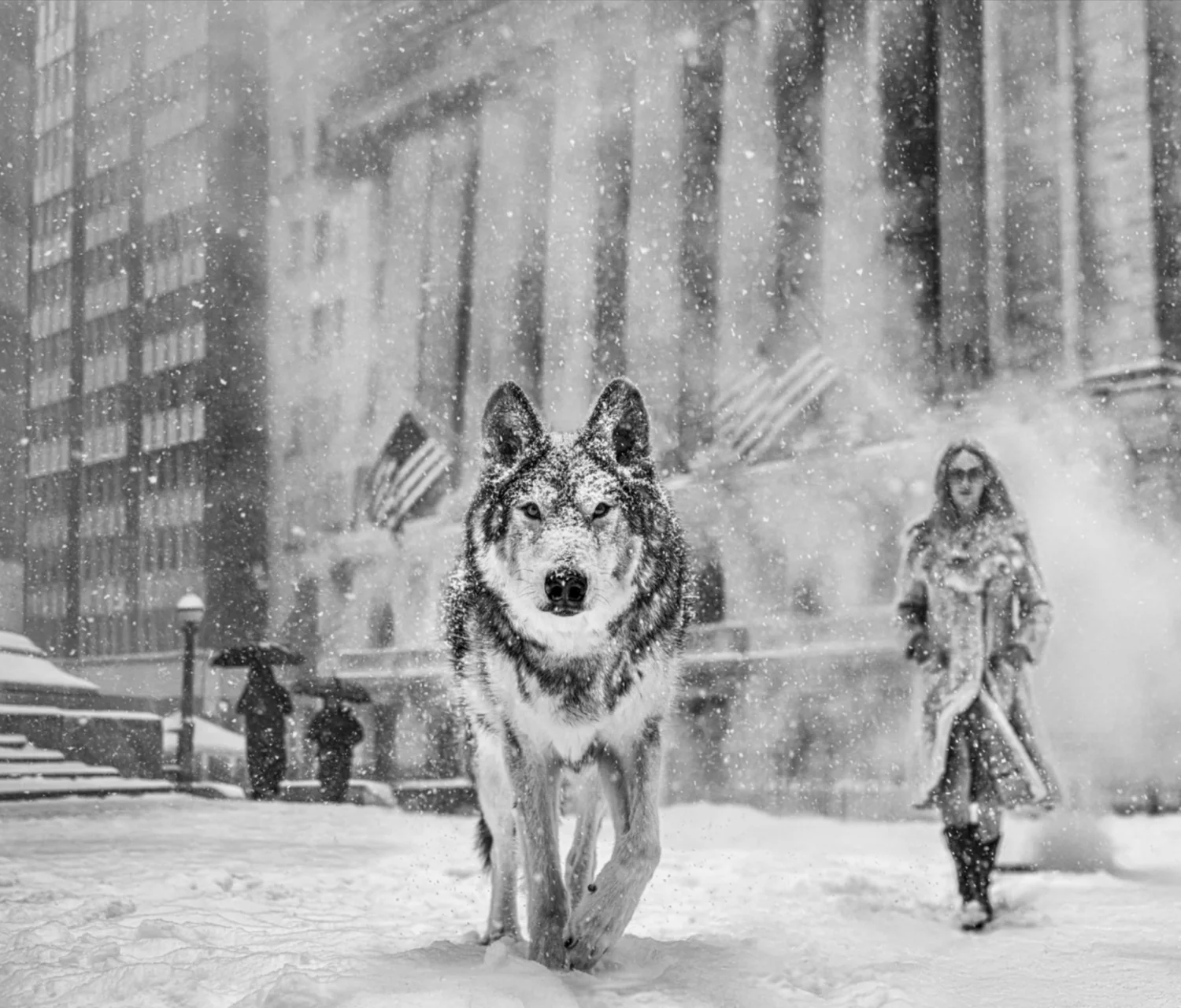 Wall Street Stories (B&W) | David Yarrow