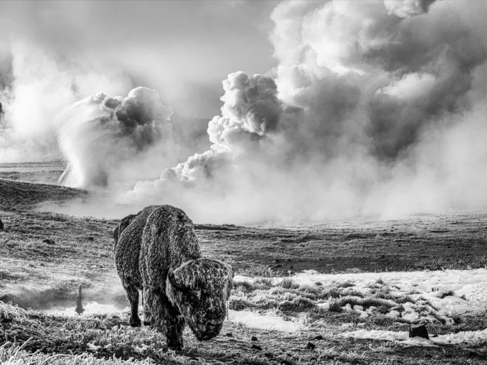 In the Beginning (B&W) | David Yarrow