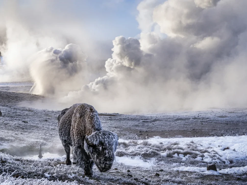In the Beginning (Colour) | David Yarrow
