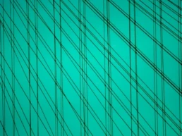 Life's Theater Green | Bahar Kural