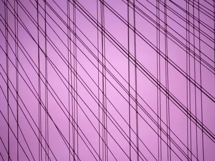 Life's Theater Purple | Bahar Kural