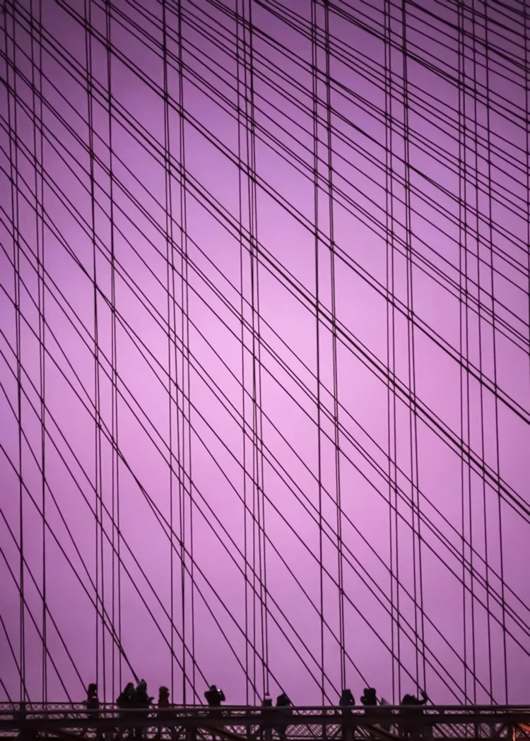 Life's Theater Purple | Bahar Kural