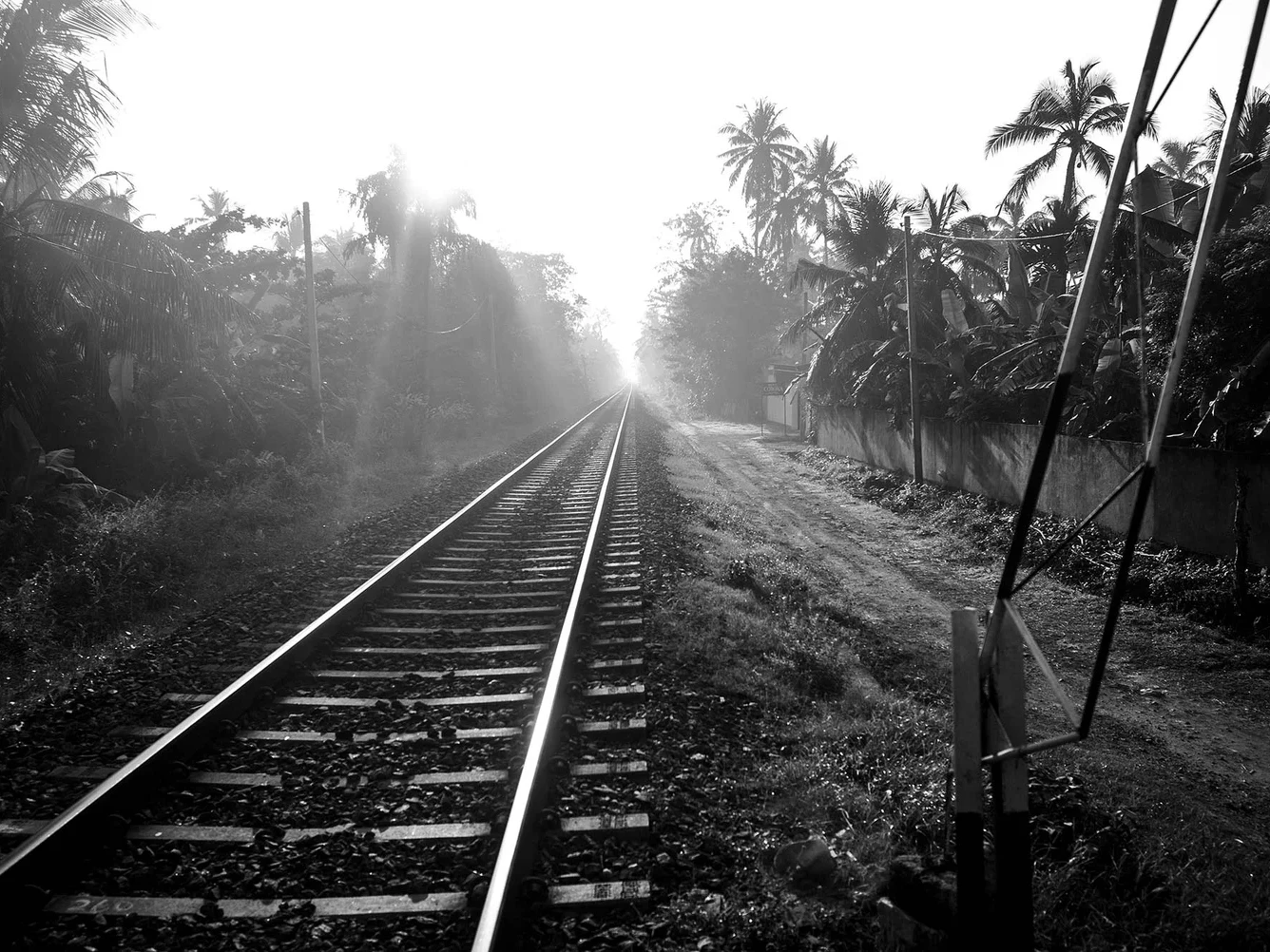 Traveling Light | Nick Compton