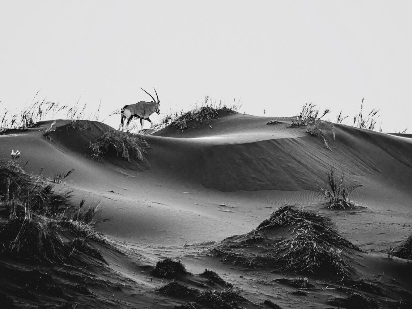 Walking Away | Nick Compton