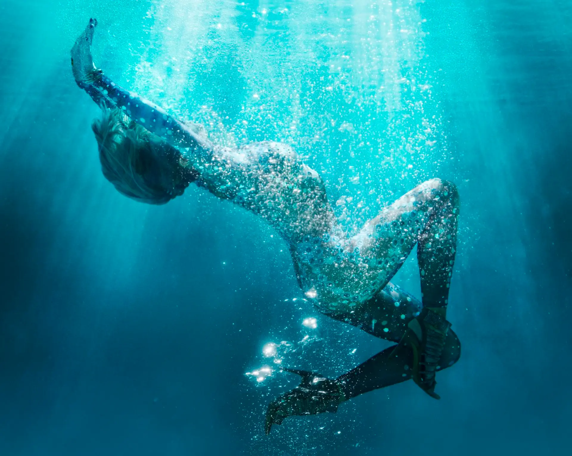 David Dreben type cut out