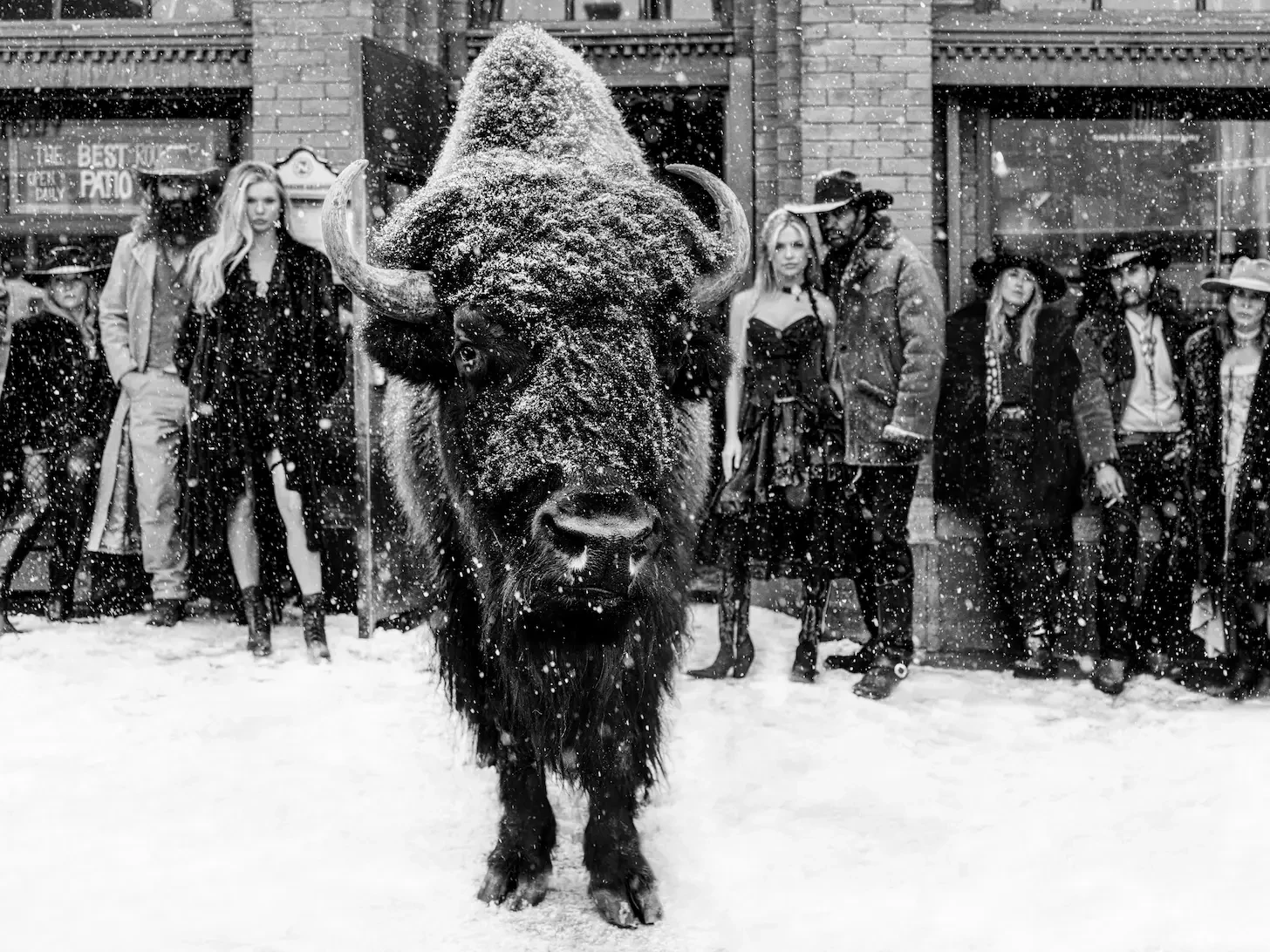 A photograph of a bison and a group of people by photographer David Yarrow.