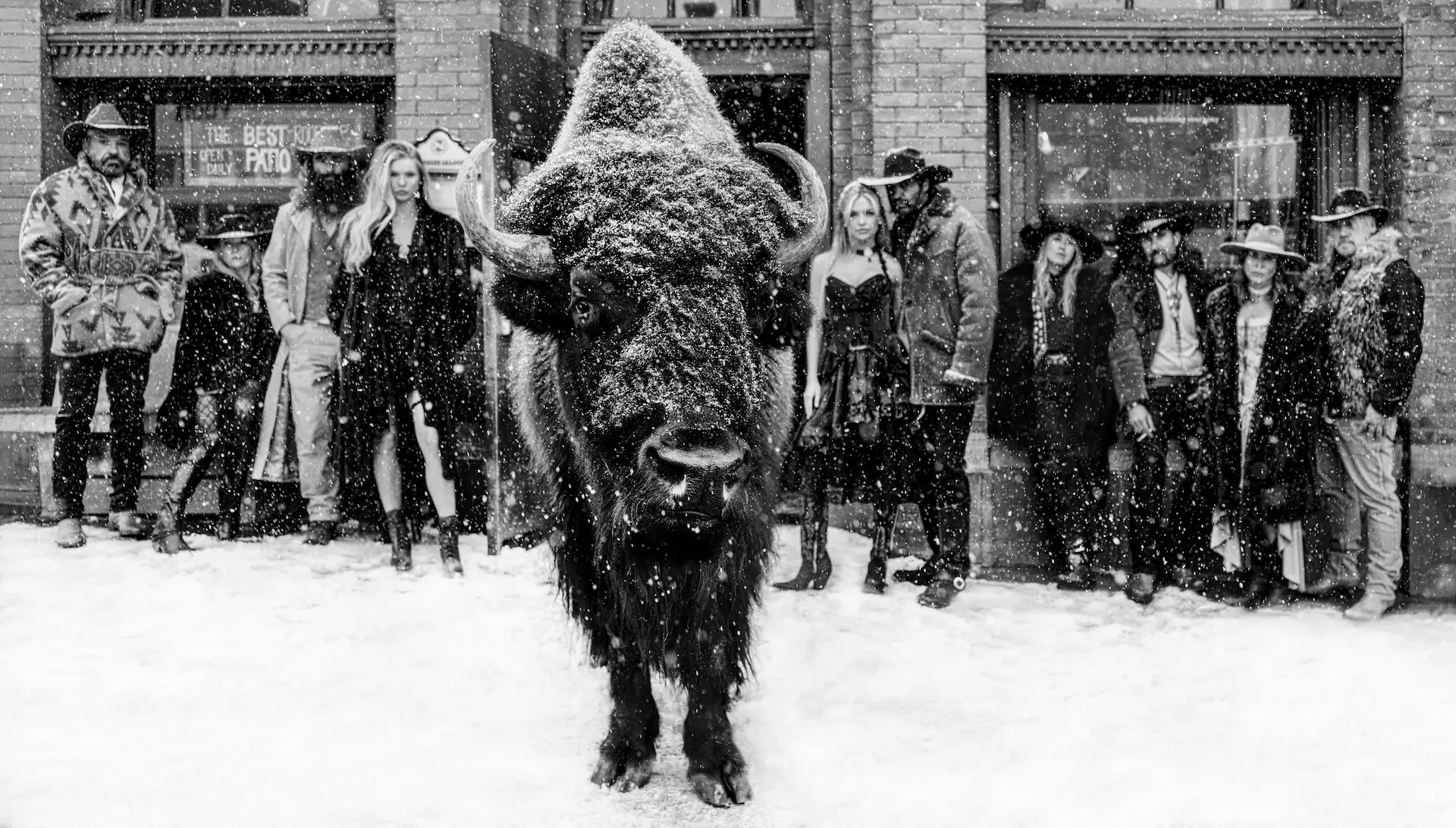 A photograph of a bison and a group of people by photographer David Yarrow.