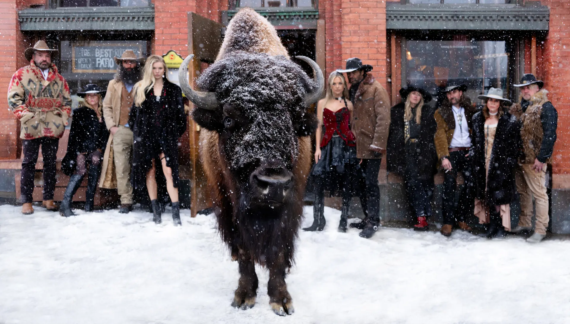 A photograph of a bison and a group of people by photographer David Yarrow.