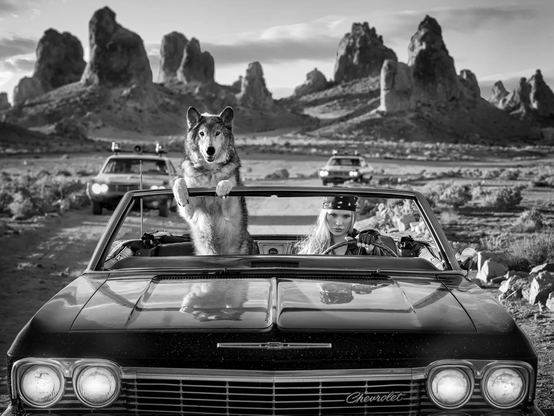 A photograph showing a woman and a wolf in a car by photographer David Yarrow.