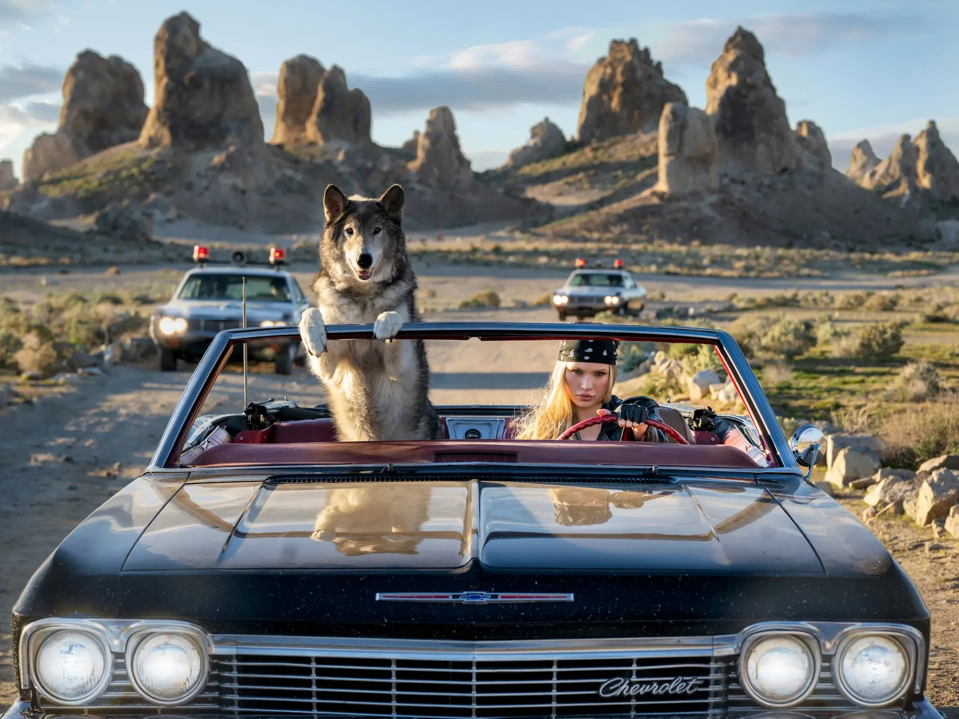A photograph showing a woman and a wolf in a car by photographer David Yarrow.