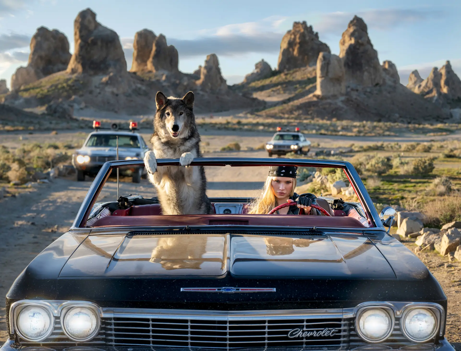 A photograph showing a woman and a wolf in a car by photographer David Yarrow.