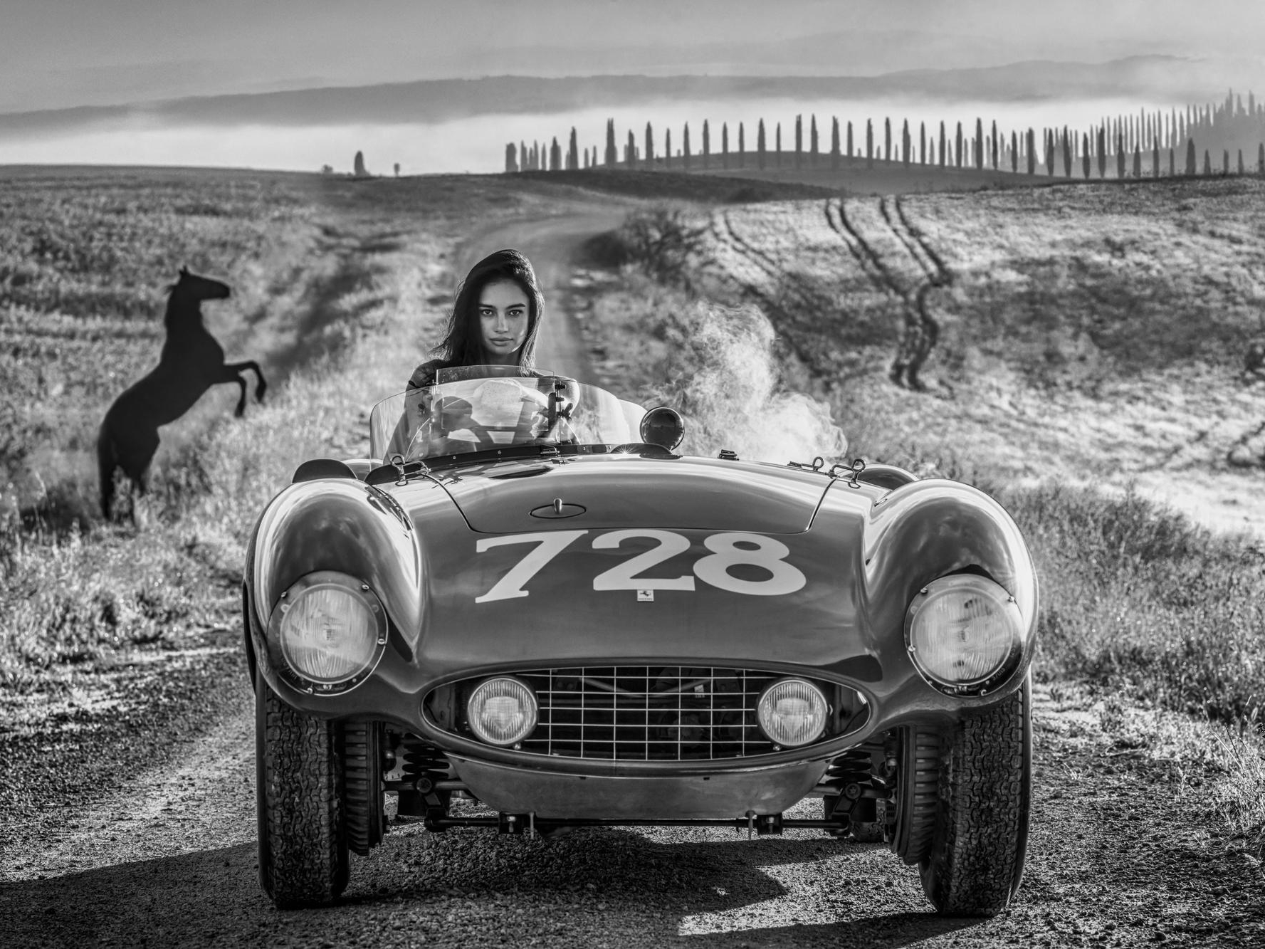 A representation of the photograph Ferrari 1955 by fine art photographer David Yarrow. Available in Colour and Black & White.