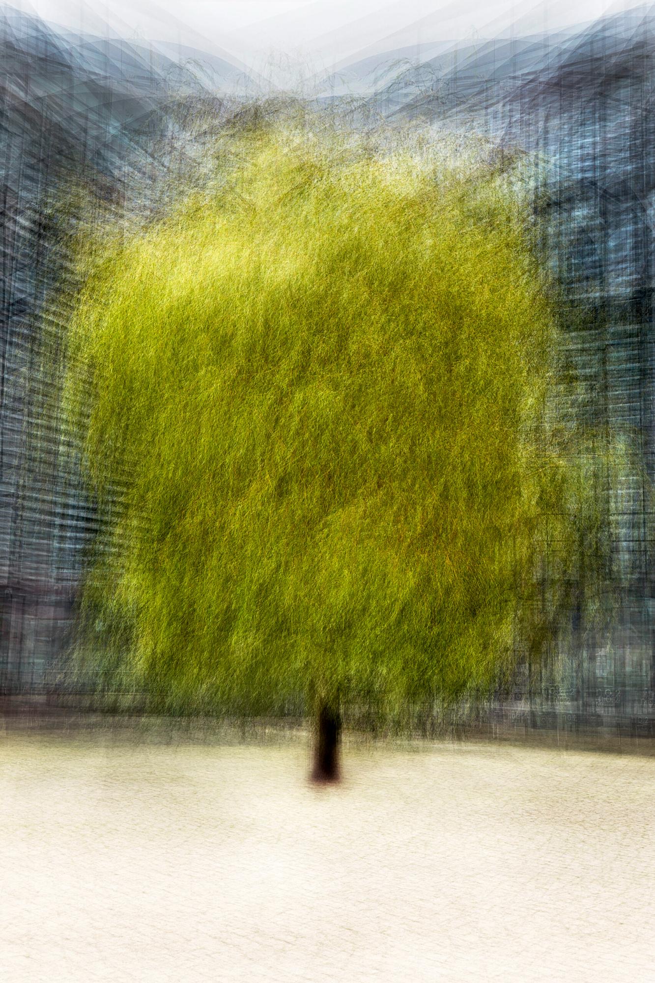 A photograph titled